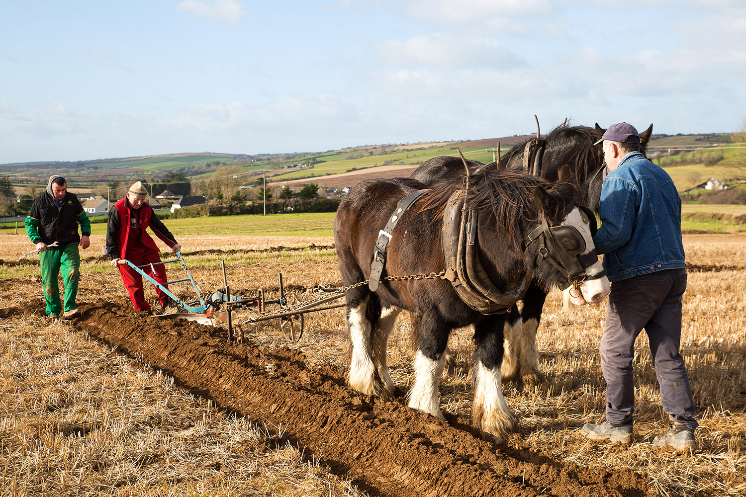 JJ Delaney w/ horses, Jeremiah Delaney and Billy O'Connell (Macroom)