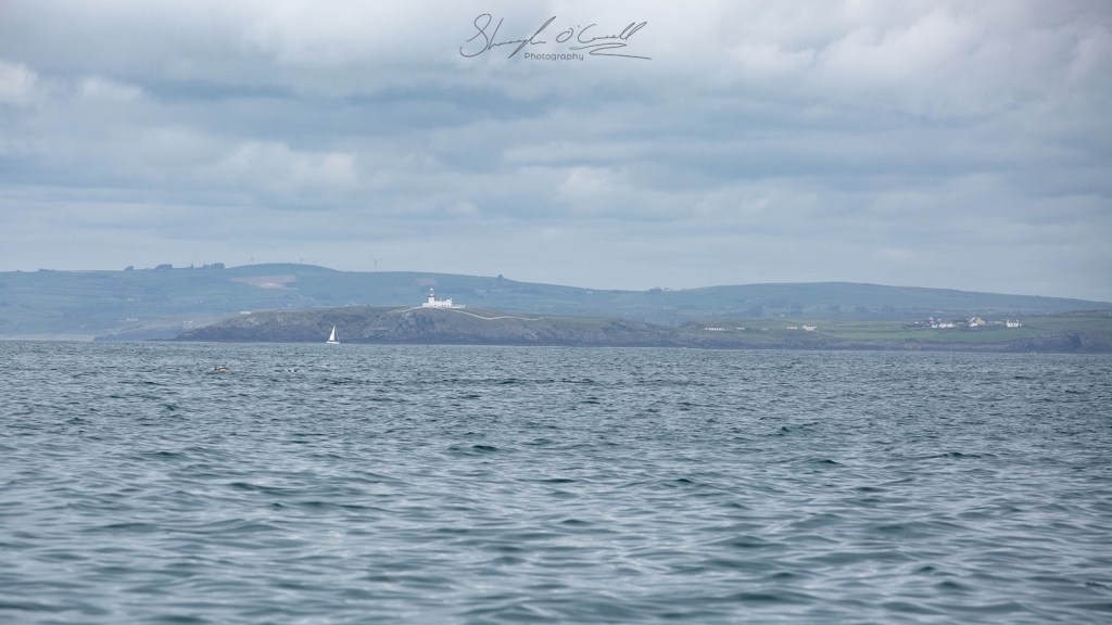 Galley Head Lighthouse from sea