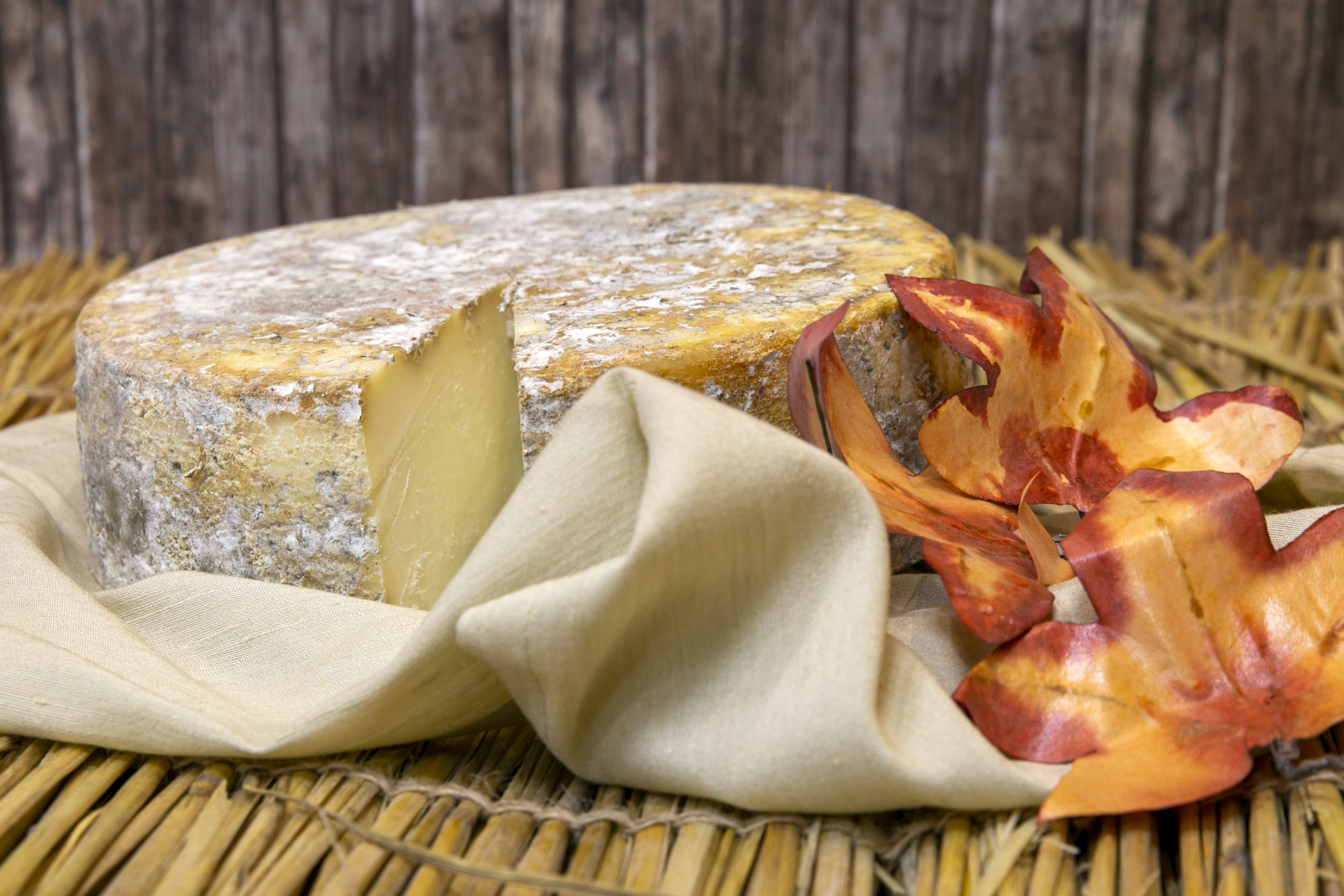 Irish Cheese Awards Product Photography