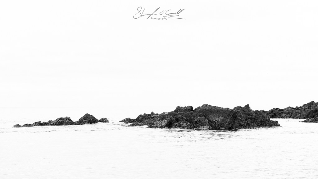 Seals on Rocks off the cost of West Cork